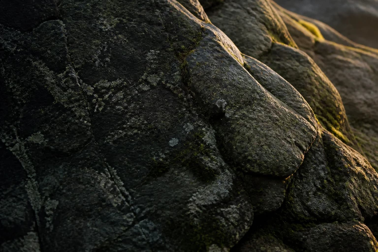 Dark weathered stone surface in low, warm light.