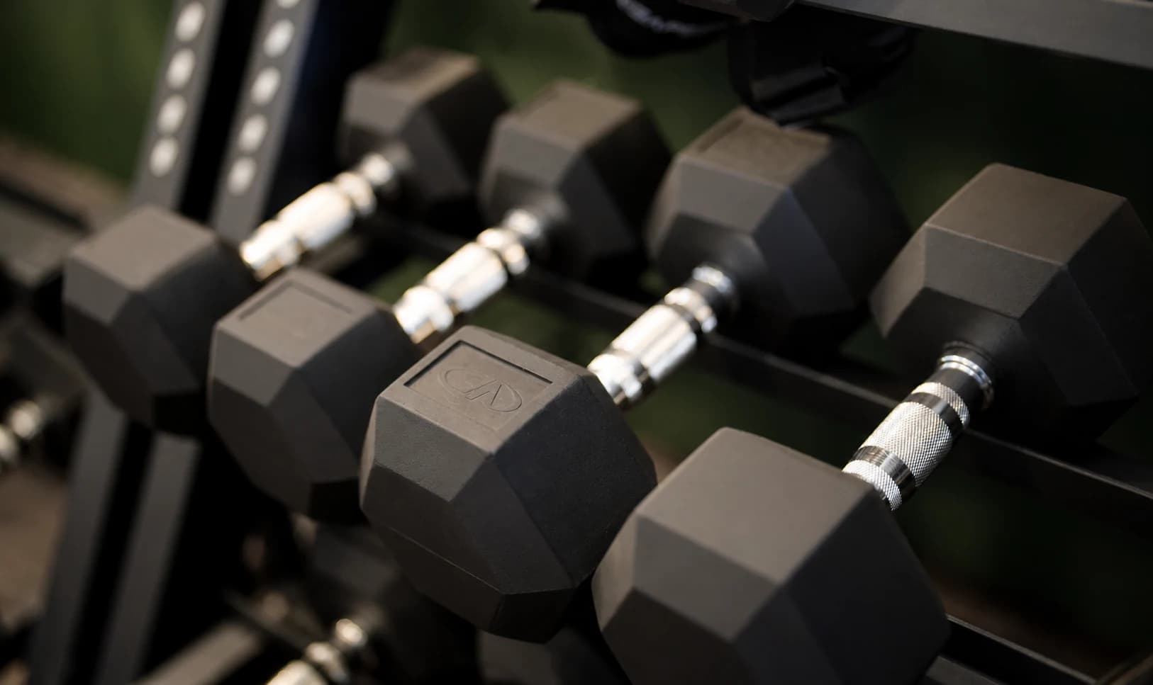 Dumbbells arranged in the residence fitness space.