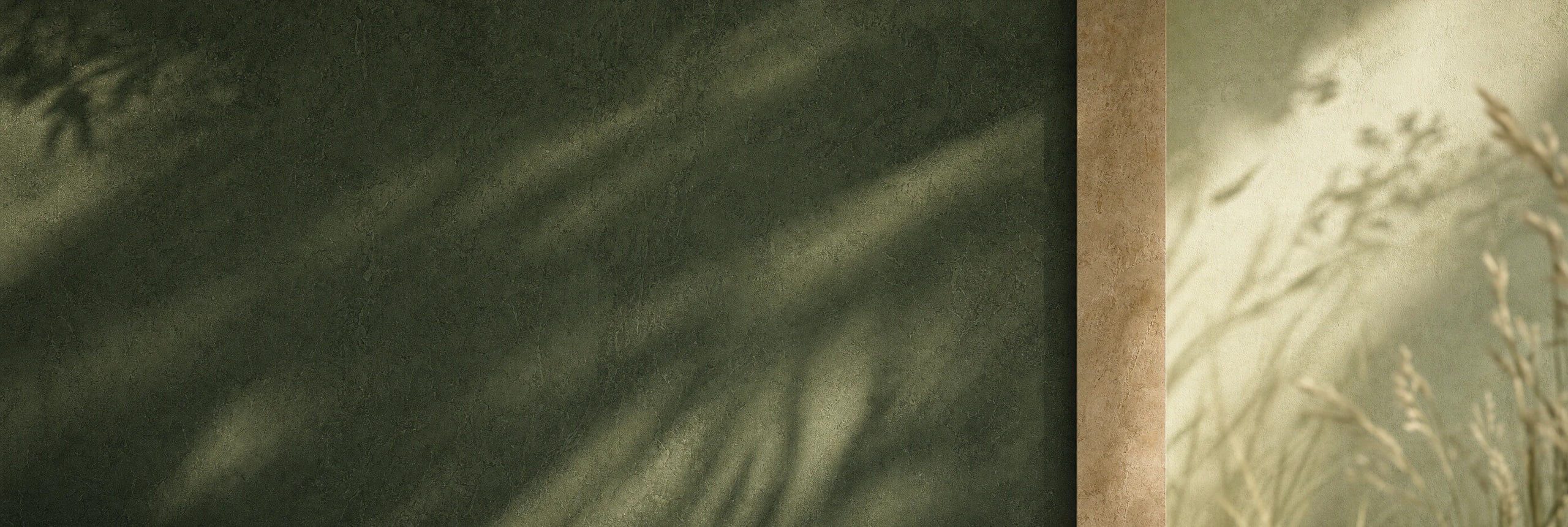 Abstract forest-green wall with soft botanical shadows and a warm threshold of light.